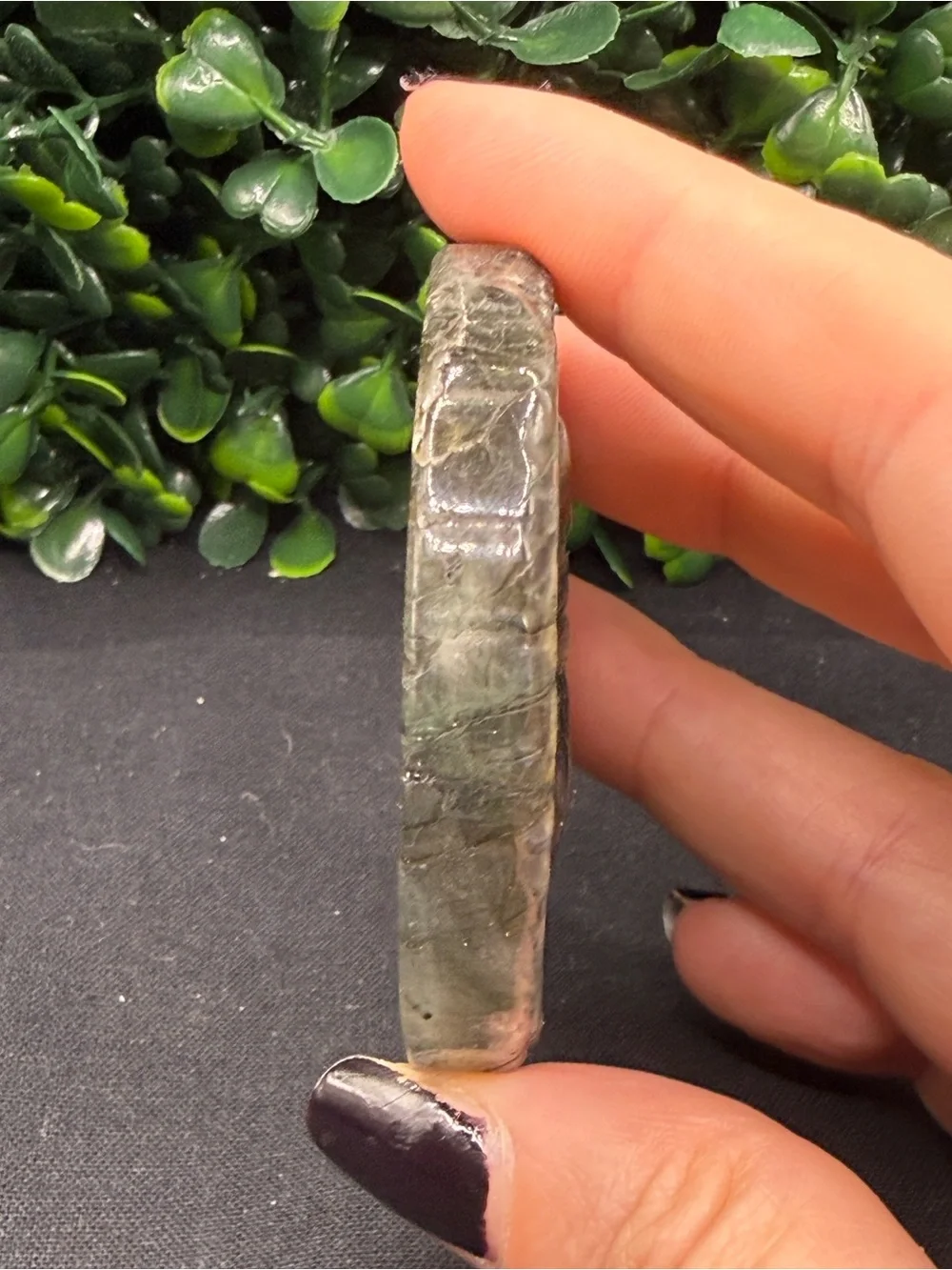 Full Flash Labradorite Shark Medallion